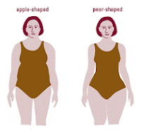apple-pear-bodies.gif