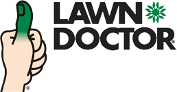 Lawn*Doctor Lawn Care Insights