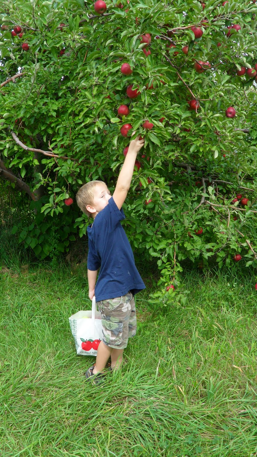 Porter Family: Arbor Day Tree Farm
