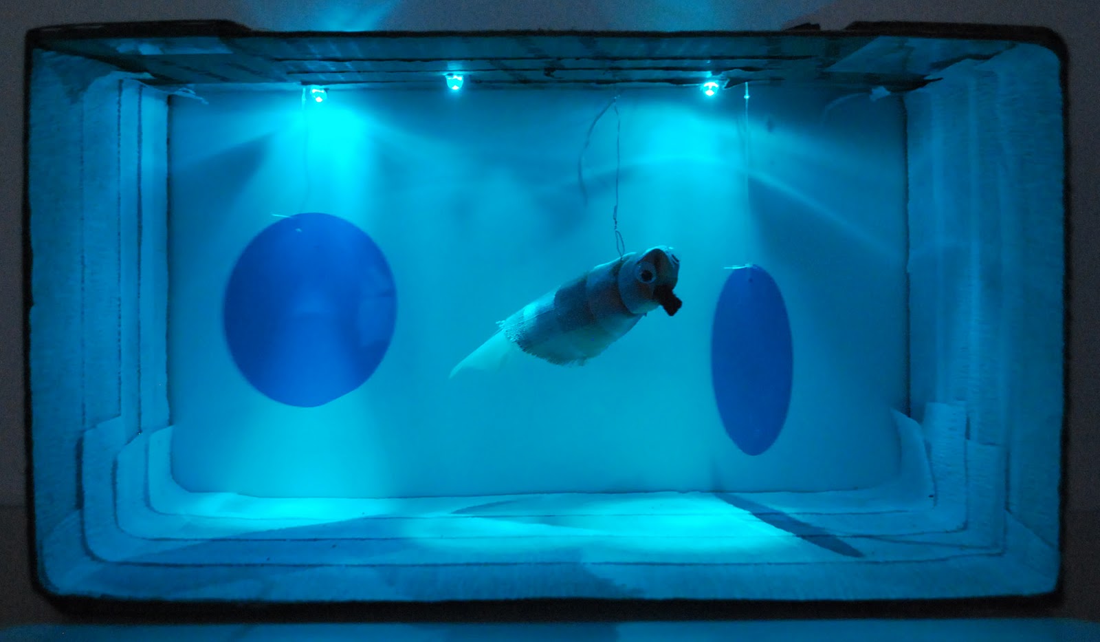 powered by girls project lightup aquarium