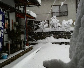 今日は、大雪で約30cm位積もりました。
