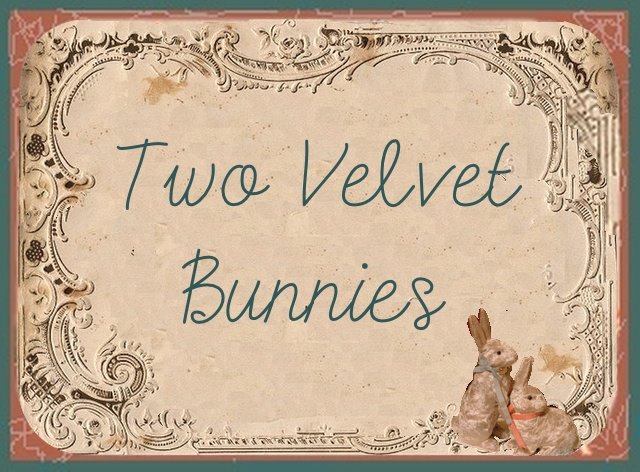 Two Velvet Bunnies