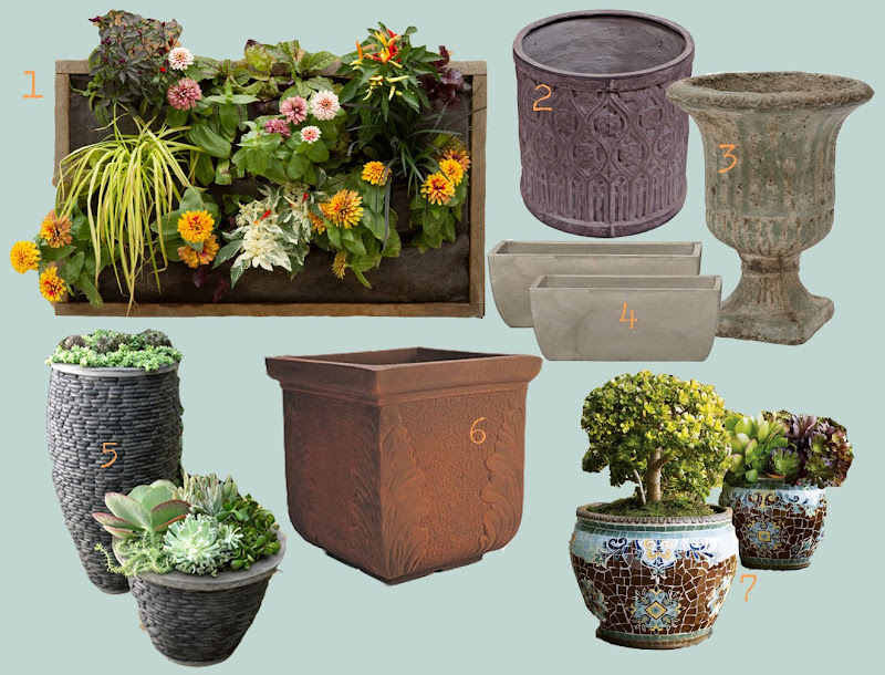 flores del sol choosing a garden planter