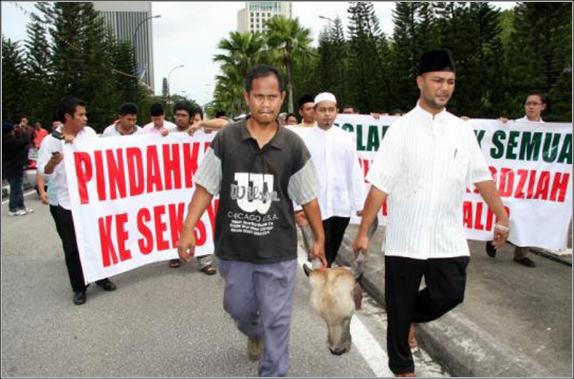 [Picture1.jpg]
