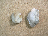 Lithics from the Carson site