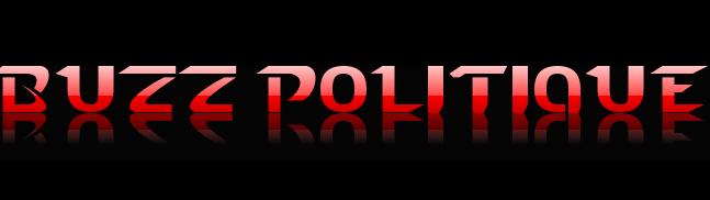 Buzz Politique Buzz Politique 2009