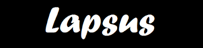 Lapsus politiques 2010