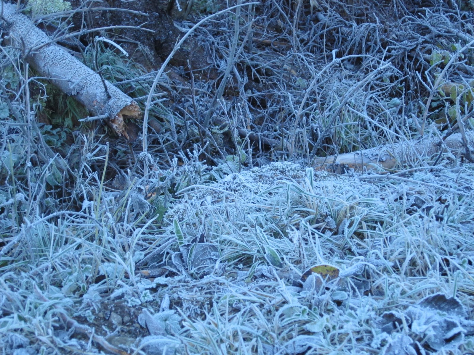 En Kopp Kakao Og Et Par Strikkepinner Frost