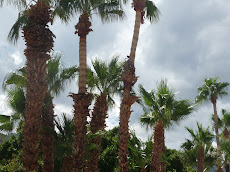 A cloudy day in Palm Springs?  Yes!