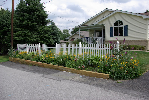 Our wildflower garden