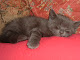 Ma photo