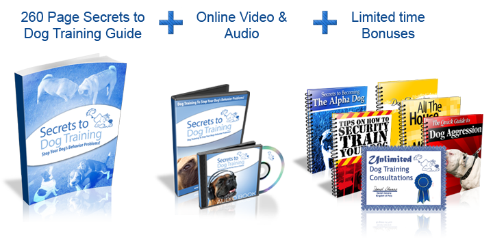 Grooming And Training