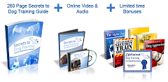 Secrets to dog training