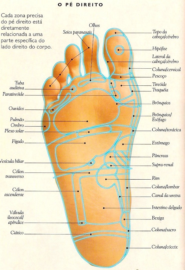Reflexologia Brasília / Reflexology Brasilia / Reflexzonenmassage Brasilia Por que os pés são Reflexologia Brasília / Reflexology Brasilia / Reflexzonenmassage Brasilia Por que os pés são
