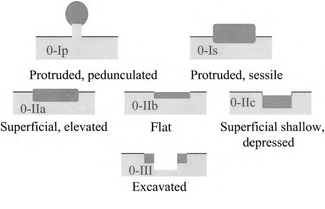 Eugene de villiers phd thesis