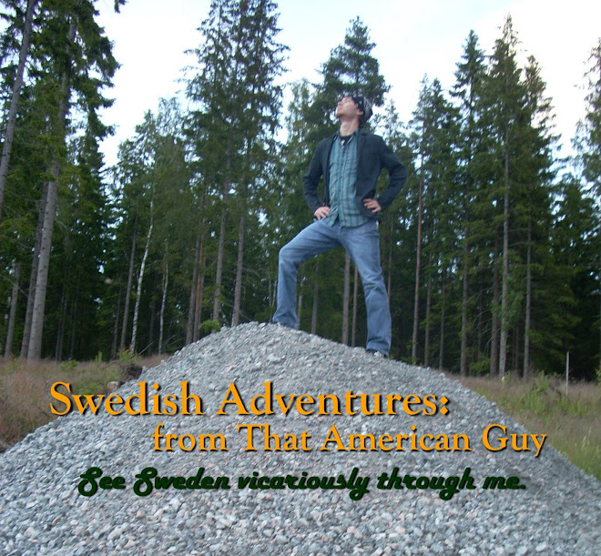 Swedish Adventures: from That American Guy