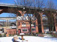 Looking up from Below the Bridge