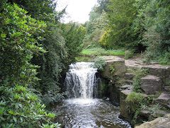 Jesmond Dene Waterfall