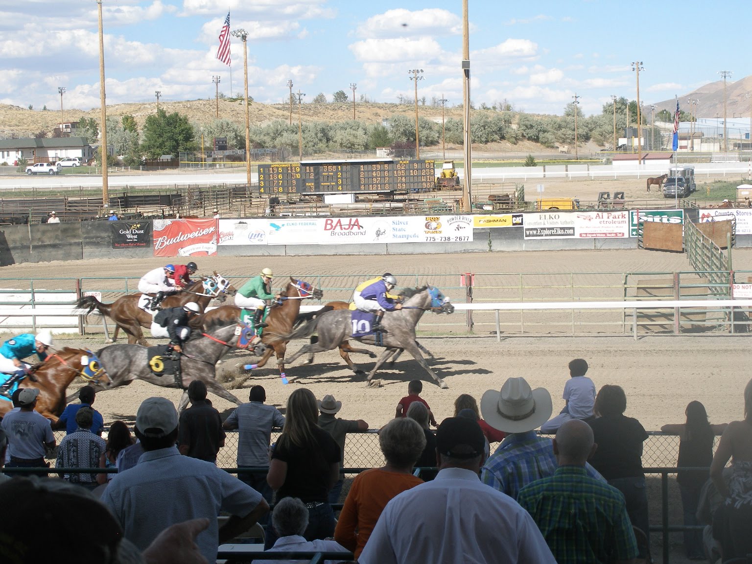Our Neck Of The Woods Elko County Fair 2010