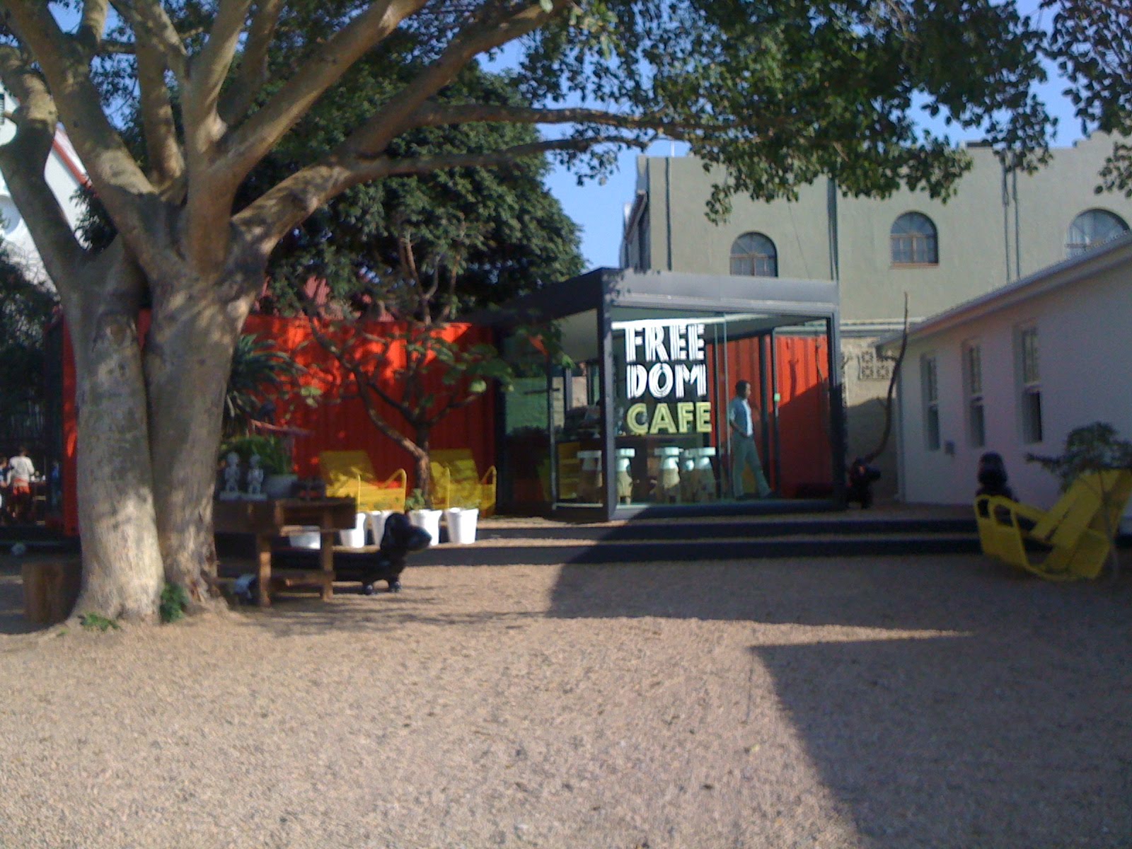 coelho culture: freedom cafe