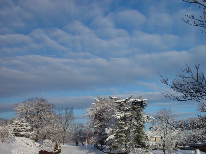 [snow+&+sky.jpg]