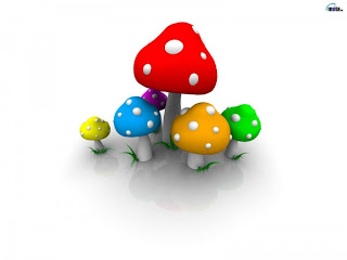 http://4.bp.blogspot.com/_hz5SCj3z4go/SLr-NCHfbBI/AAAAAAAABvc/KQGDoZ_Awcw/s320/11852.jpg