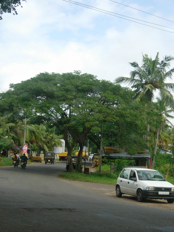 [DSCN3803.JPG]
