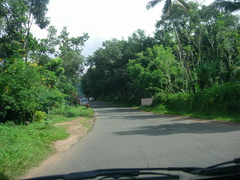 [DSCN3808.JPG]