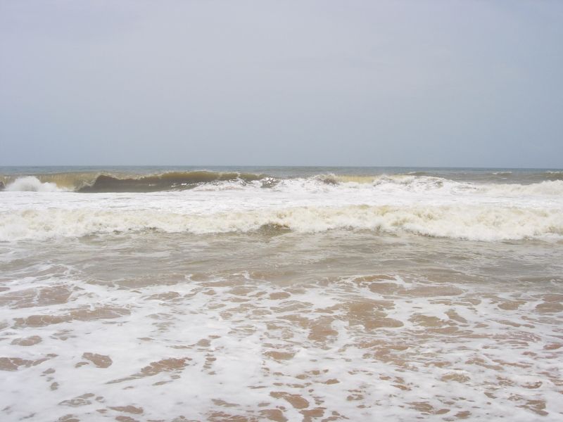 [DSCN3995.JPG]