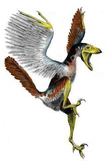 ORIGEM DAS AVES PDF DOWNLOAD ORIGEM DAS AVES PDF DOWNLOAD