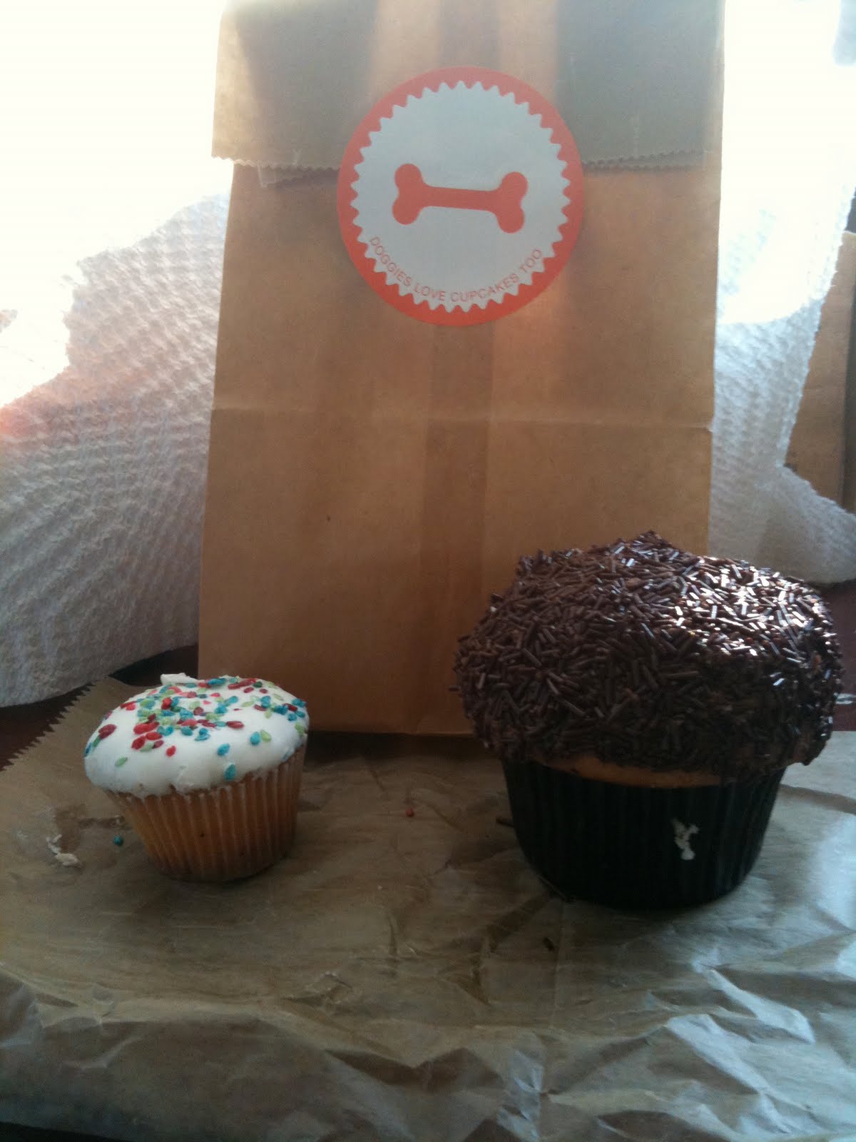 StyleBeautyLoveDogs Sprinkles Cupcakes