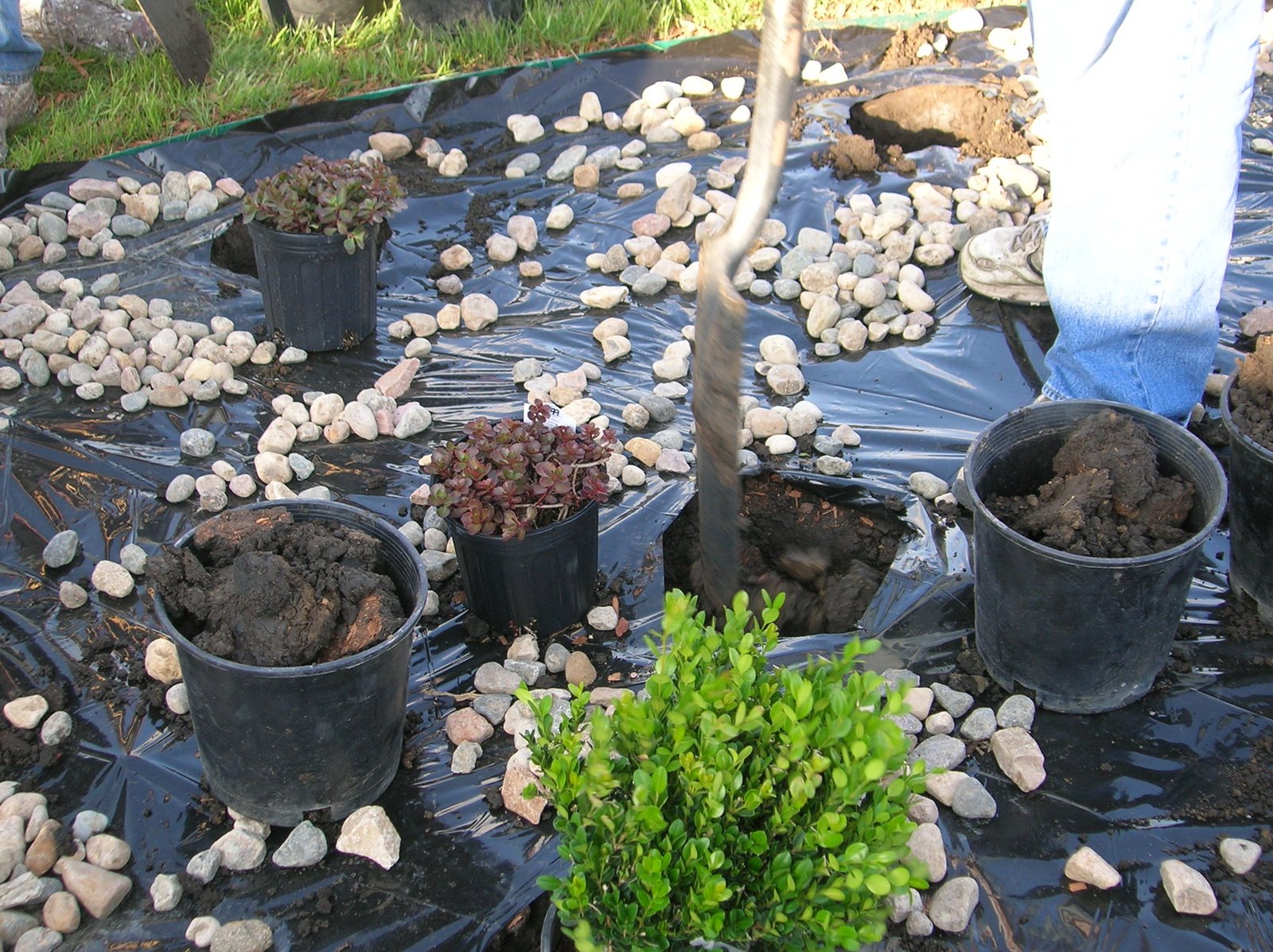 [DSCN4975.JPG]