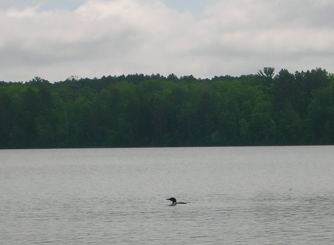 [DSCN5342.JPG]