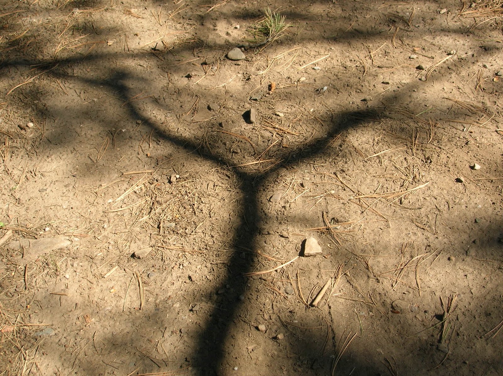 [DSCN6136.JPG]