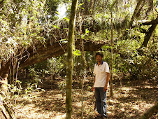 Sendero Ecológico en Guapoy