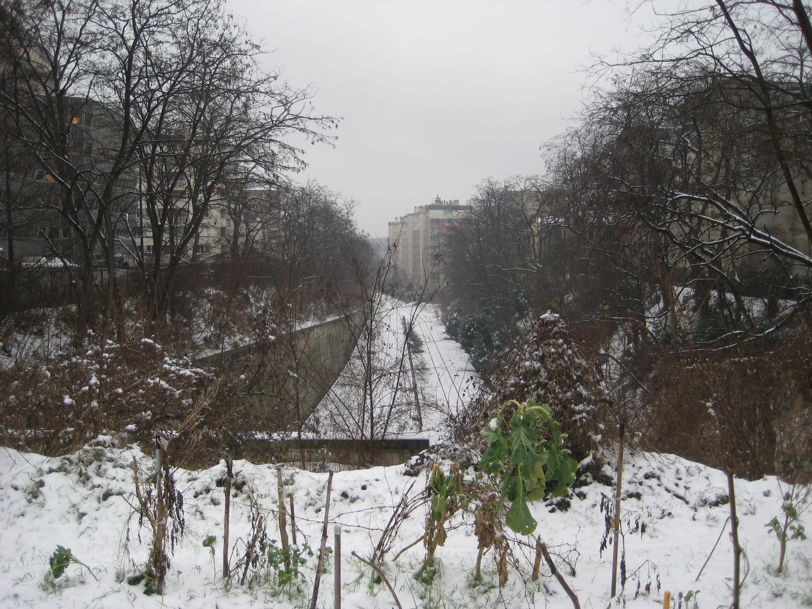 [IMG_4213.JPG]
