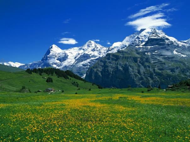 [Breithorn+Peak+(+Switzerland+).jpg]