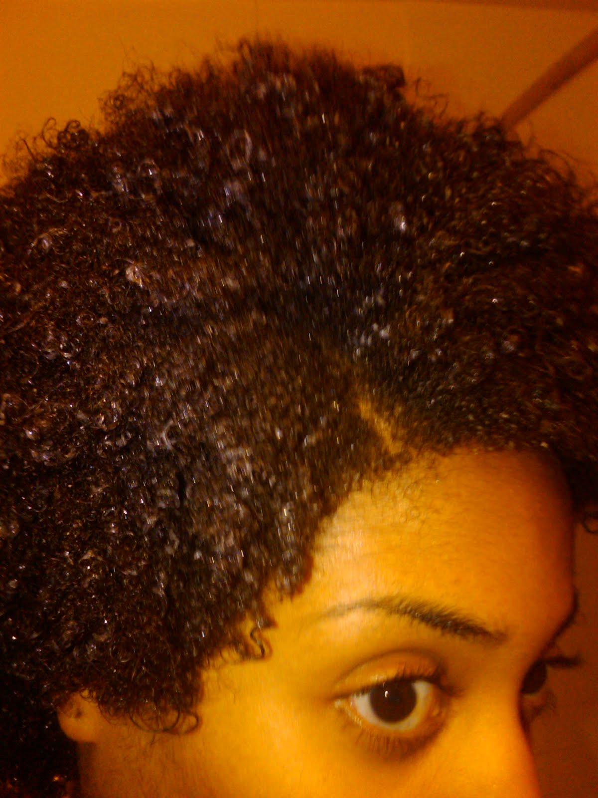 Stepha Inc.: Kinky Curly Product Review- Plus Natural Hair ... Stepha Inc.: Kinky Curly Product Review- Plus Natural Hair ...