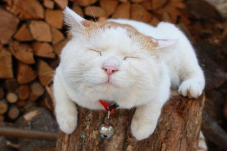 ȋȑqZ 237rڔLKCWuX [f]ڋ֎~]©bbspink.com	YouTube>1{ ->摜>3567 