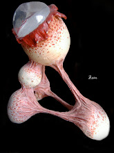 THE VEHICLE OF MARS-2000