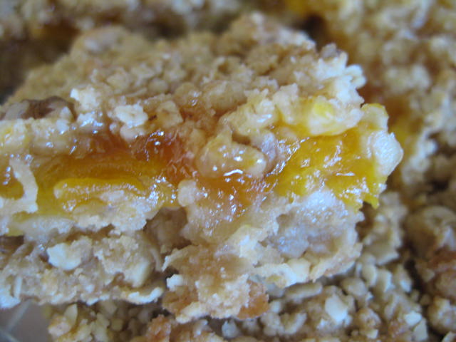 Apricot Oatmeal Bars