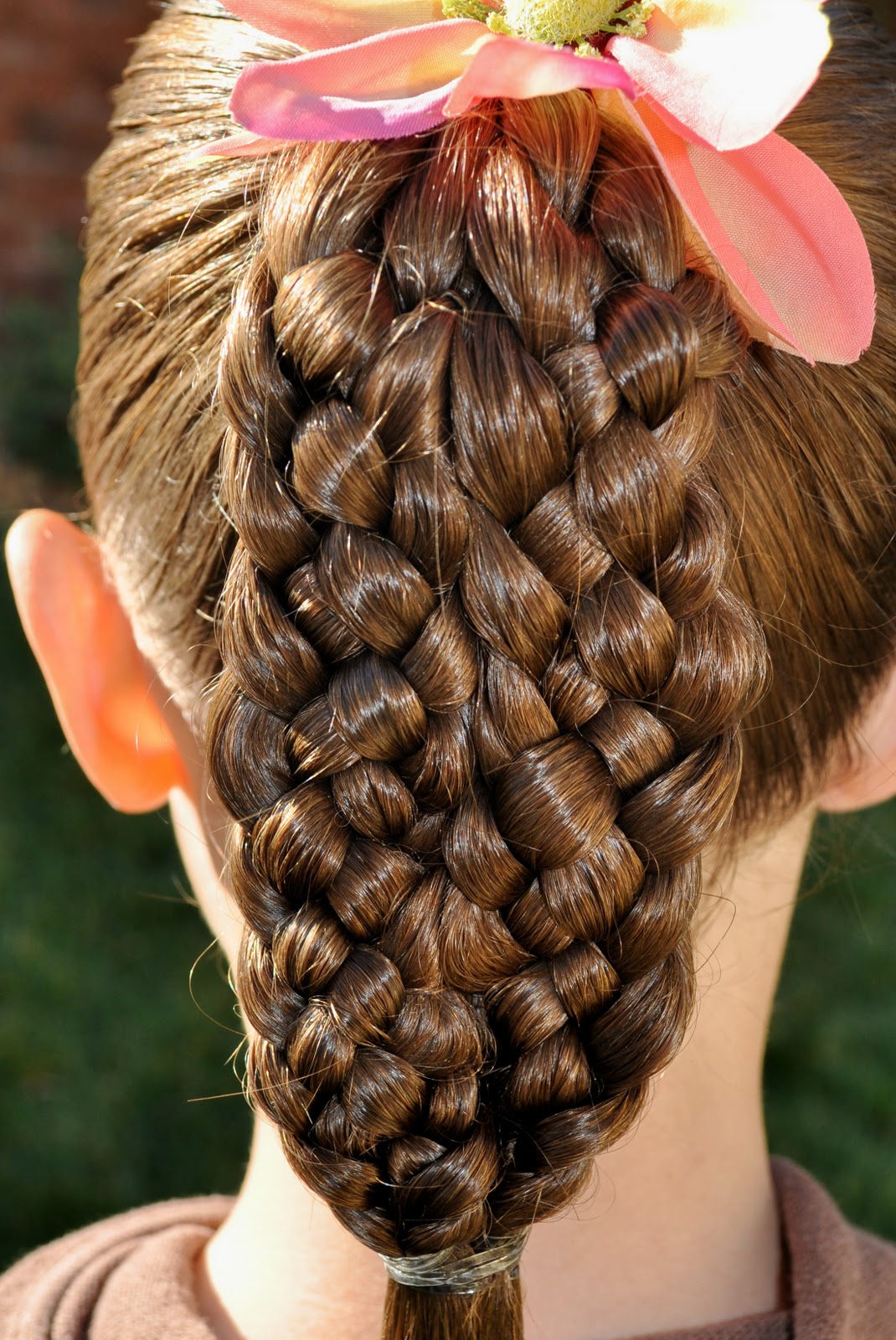 Princess Piggies 10Strand Braid