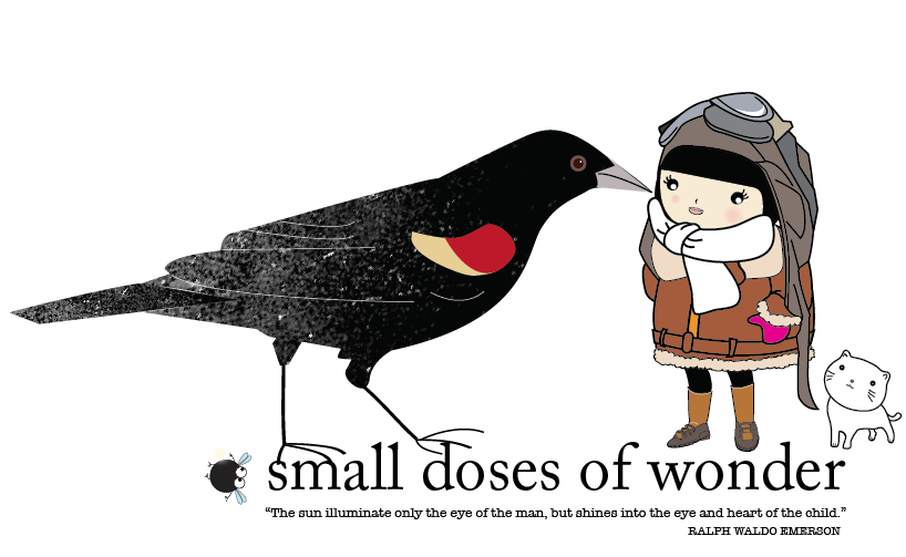 SMALL DOSES OF WONDER