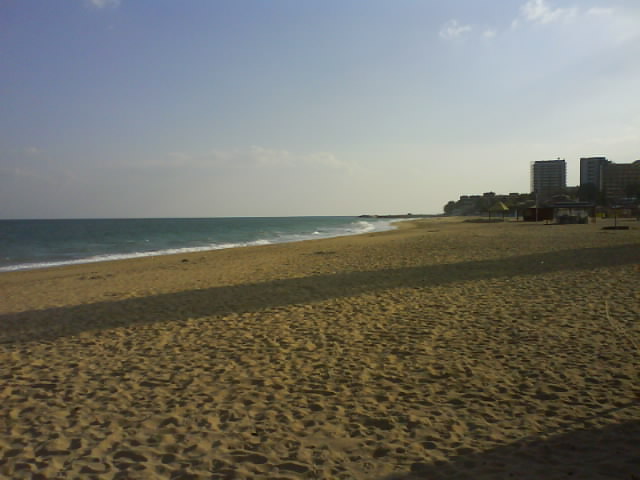 [DSC00195.JPG]