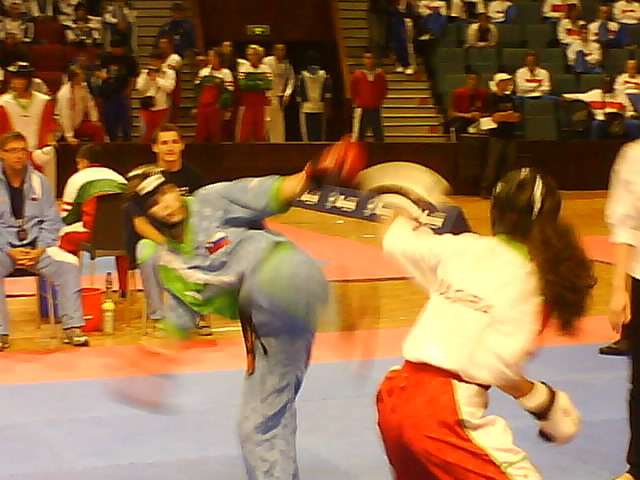 [DSC00155.JPG]