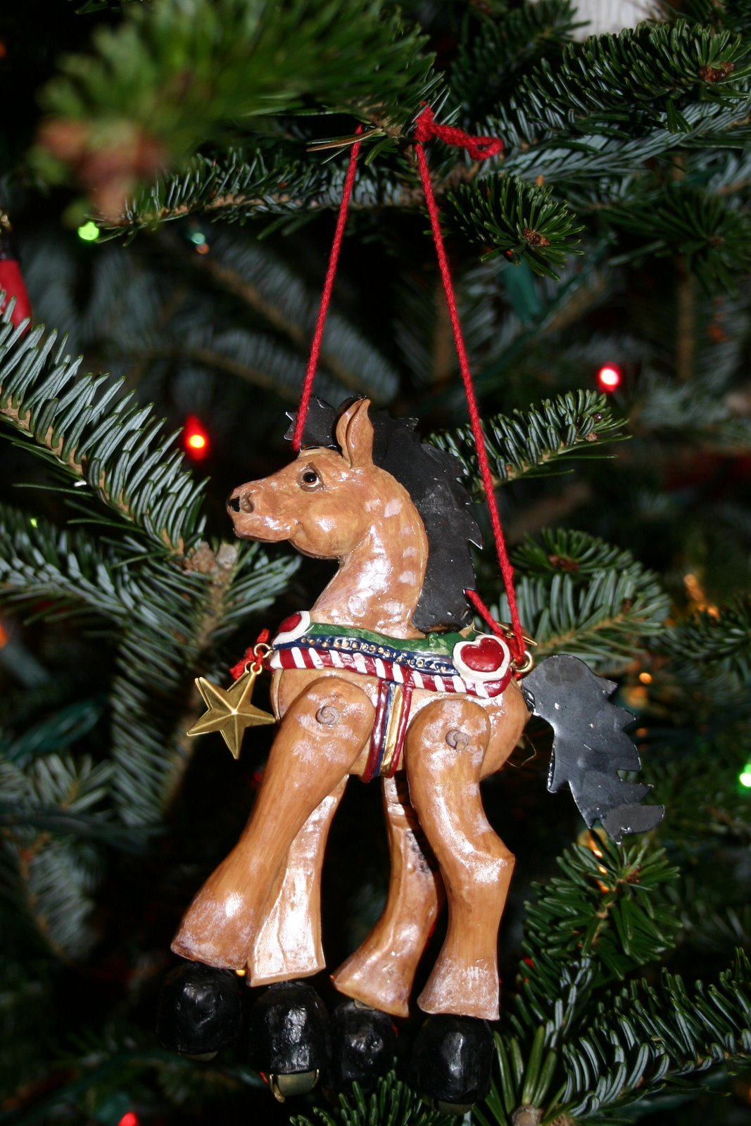 [IMG_7532.jpg]