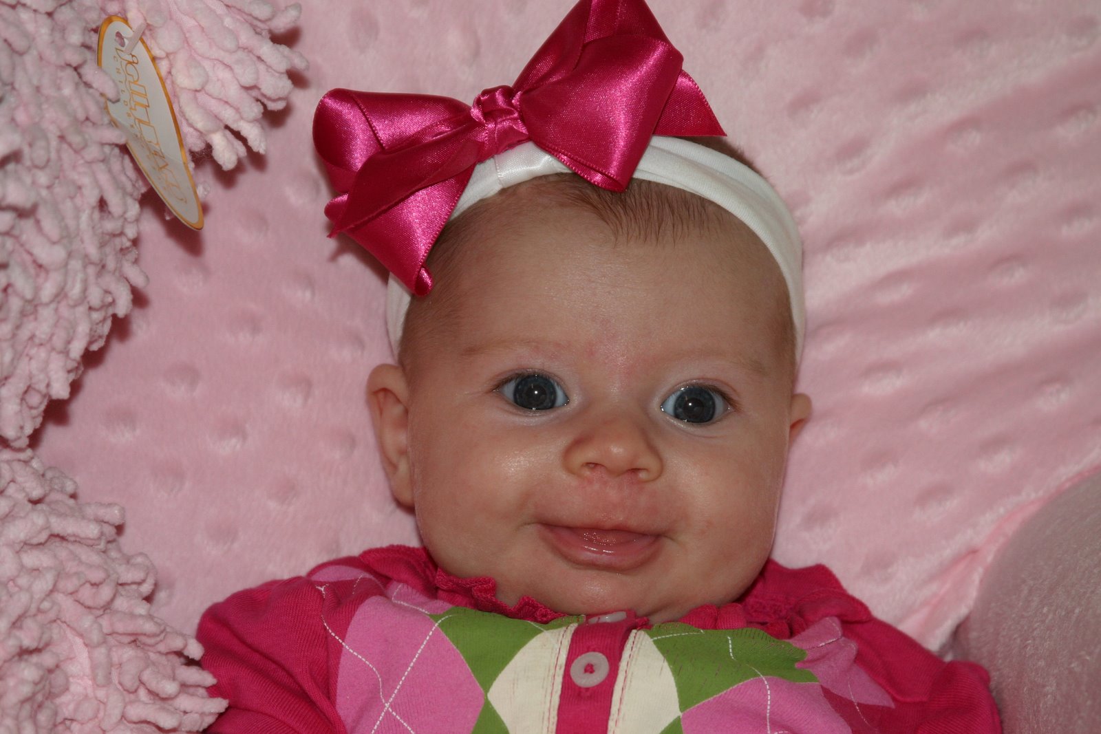 [IMG_0782_edited-2.jpg]