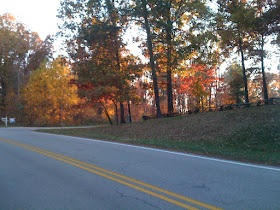 Fall colors on a dirt road
