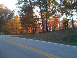 Roadside color Fall colors on a dirt road