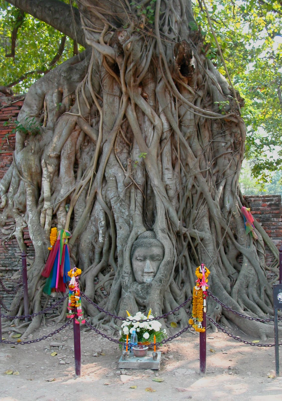 [buddha+head.jpg]